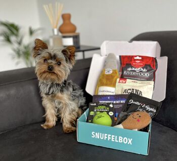 SNUFFELBOX - Le coffret cadeau pour chiens 7