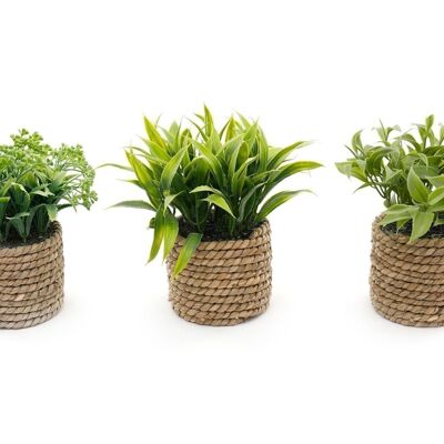 Un ensemble de trois pots à effet de corde et de plantes succulentes artificielles