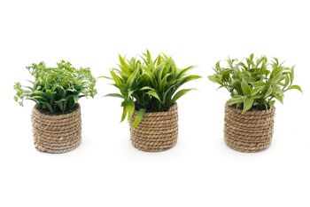 Un ensemble de trois pots à effet de corde et de plantes succulentes artificielles