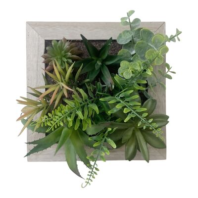 Succulentes artificielles dans un cadre en bois carré
