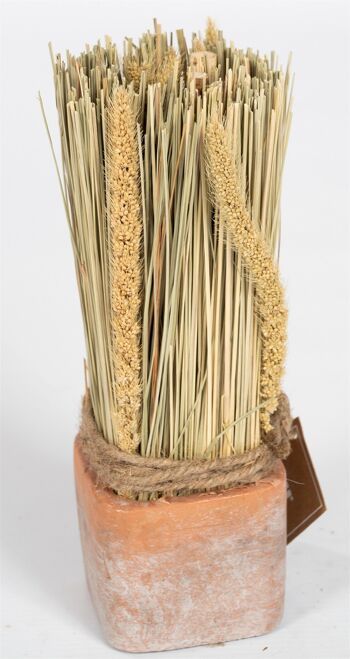 Bouquet d'herbe séchée de maïs dans un pot en terre cuite
