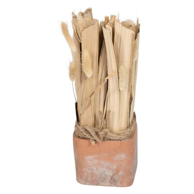 Mazzo di erba secca a coda di volpe in vaso di terracotta