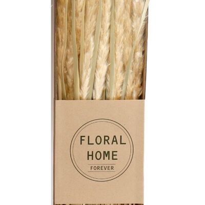 Decorative Dried Pampas Grass 60cm