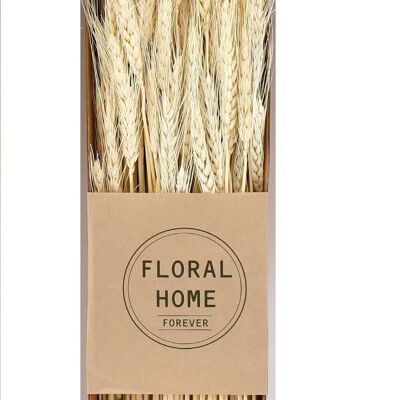 Decorative Dried Wheat 60cm