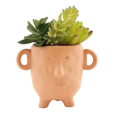 Gesicht Terrakotta-Topf mit Faux Cacti Small