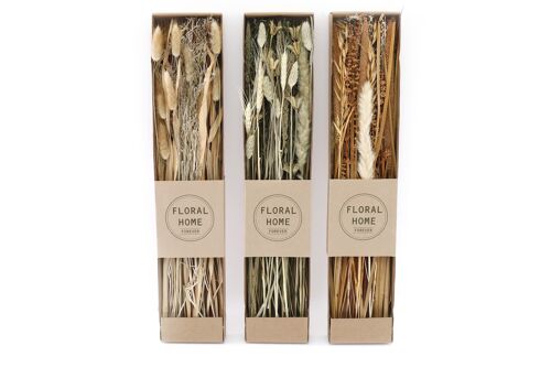 Set of 3 Dried Grasses in Display Box