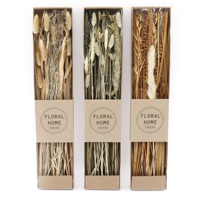 Set of 3 Dried Grasses in Display Box