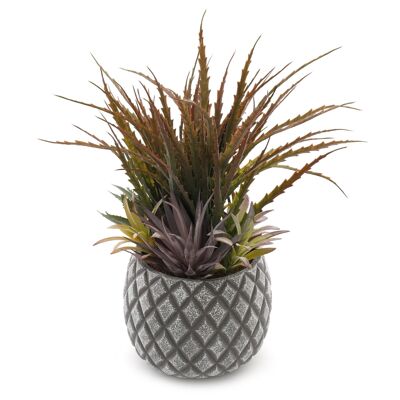 Succulente in grande vaso grigio con design a reticolo