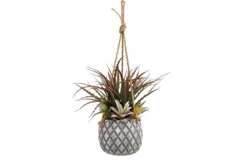 Hanging Succulents in Lattice Design Large Grey Pot