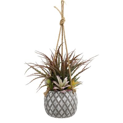 Plantes succulentes suspendues dans un grand pot gris en treillis