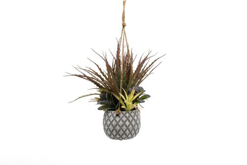 Hanging Succulents in Lattice Design Small Grey Pot