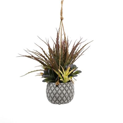 Hanging Succulents in Lattice Design Small Grey Pot