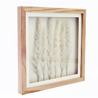 White Pampas In Square Frame 31cm