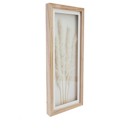 White Pampas In Rectangular Frame 50cm