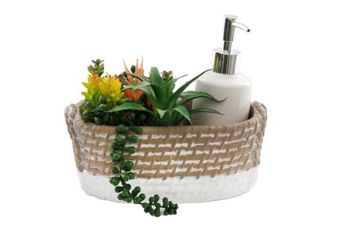 Soap Dispenser Tray with Succulent