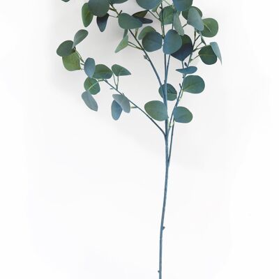 Tige d'Eucalyptus Bleu 90cm