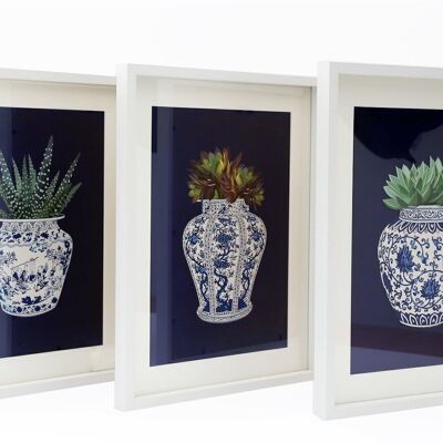 Lot de 3 Tableaux Blancs de Plantes Grasses Dans Un Vase Bleu 40cm