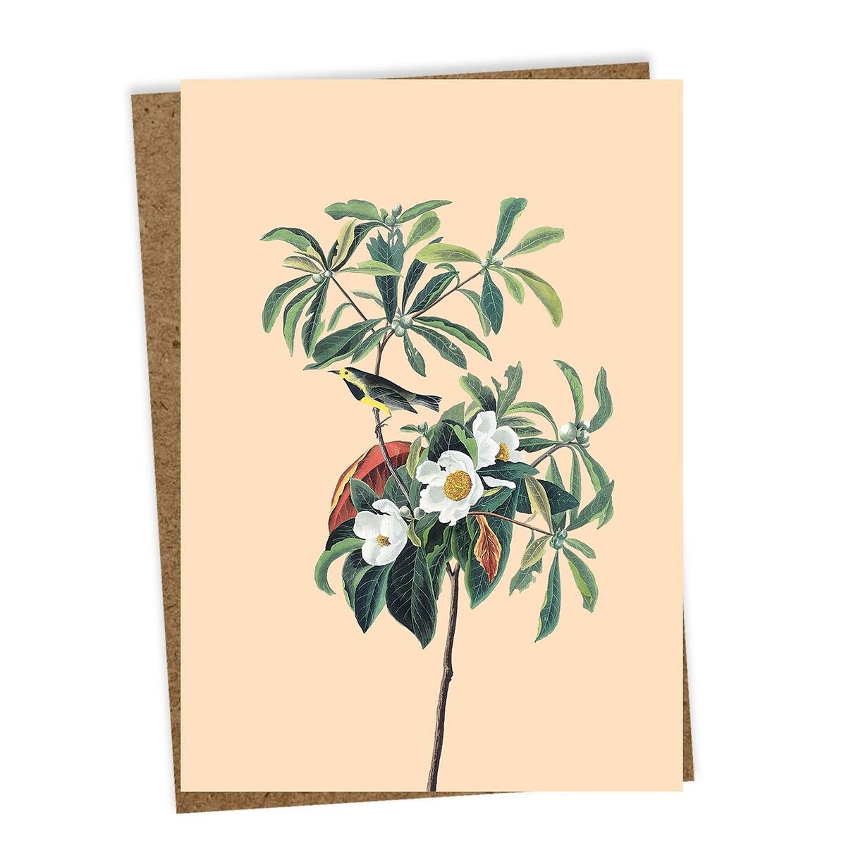 Biglietto di auguri Primavera