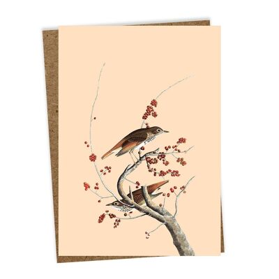 Greeting card winter