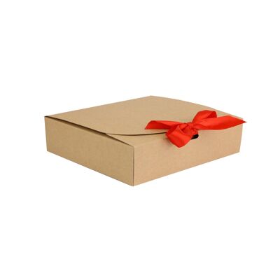 Pack of 12 Brown Kraft Box with Red Ribbon