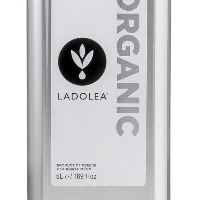 Organic Extra Virgin Olive Oil, Delicate - Patrinia Single Variety, 5Lt Tin