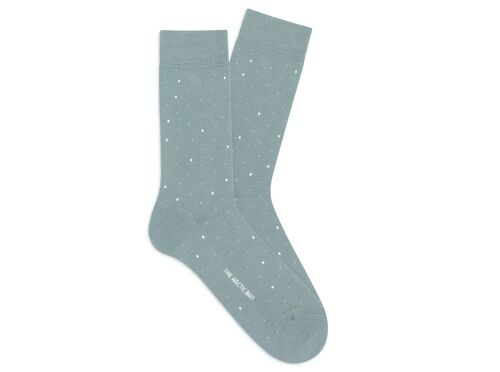 Socks Sea of Stars Sage