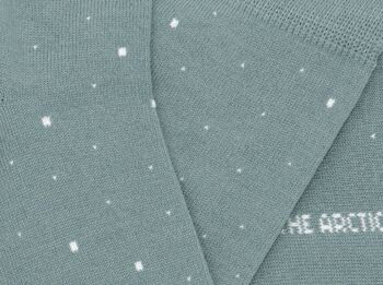 Chaussettes Sea of Stars Sauge 3