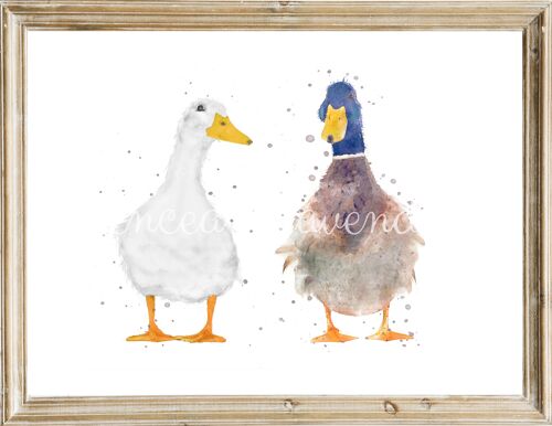 Iris & Gordon Duck Print