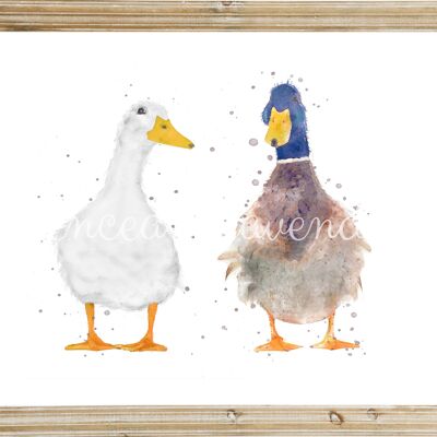 Iris & Gordon Duck Print