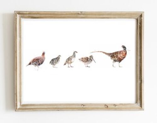 Game Bird Print