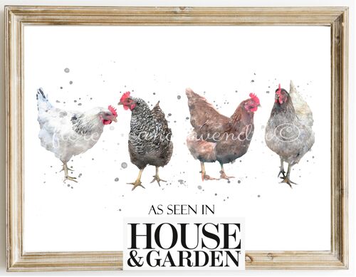 Four Hens Print