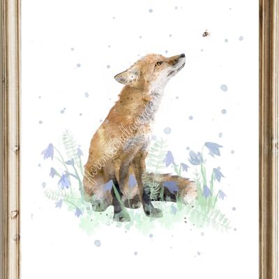 Watercolour Fox Print