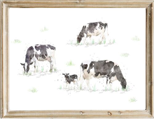 Watercolour Cow Painting