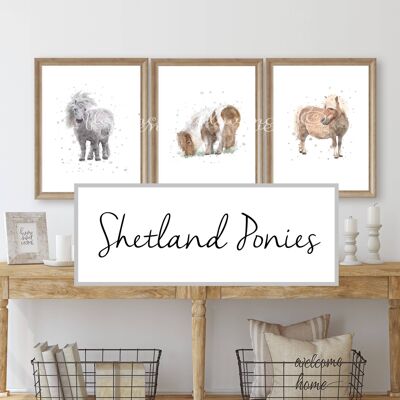 Trio of Shetland pony prints