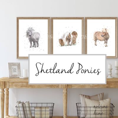 Trio of Shetland pony prints