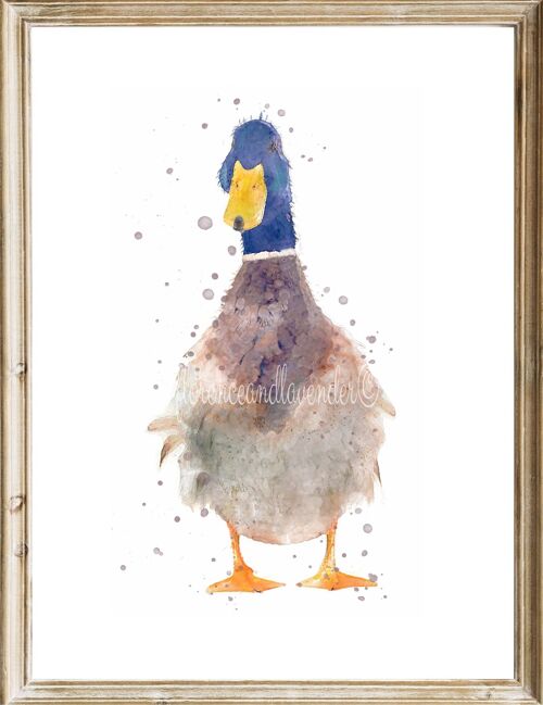 Watercolour Duck Painting