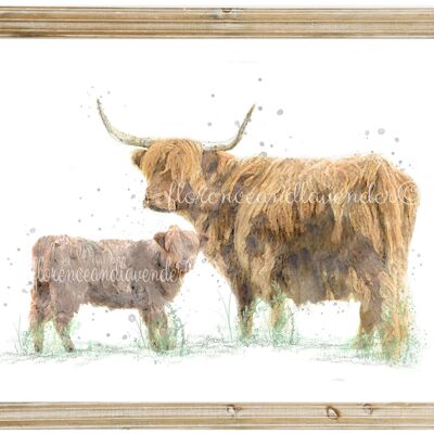 Impression de vache et de veau des Highlands