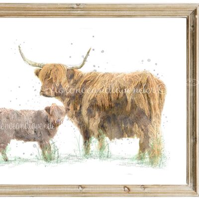 Impression de vache et de veau des Highlands