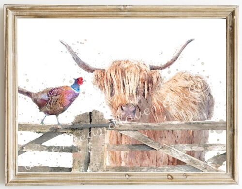 Highland Cow & Pheasant Print