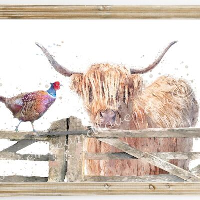 Highland Cow & Pheasant Print