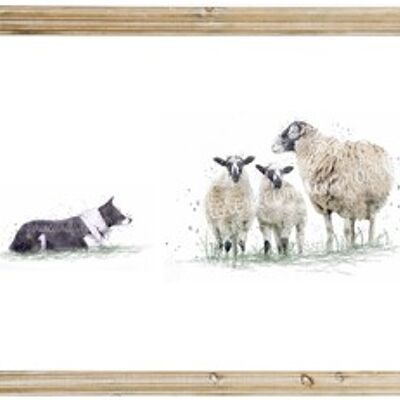 Border Collie & Swaledale Sheep Print