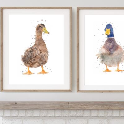 Watercolour Duck Prints
