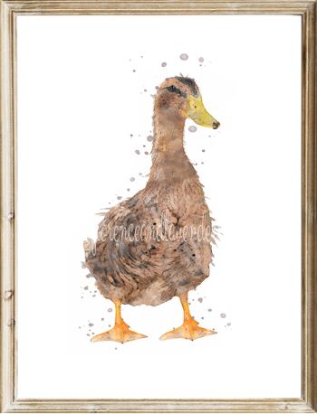 Impressions de canard aquarelle 2