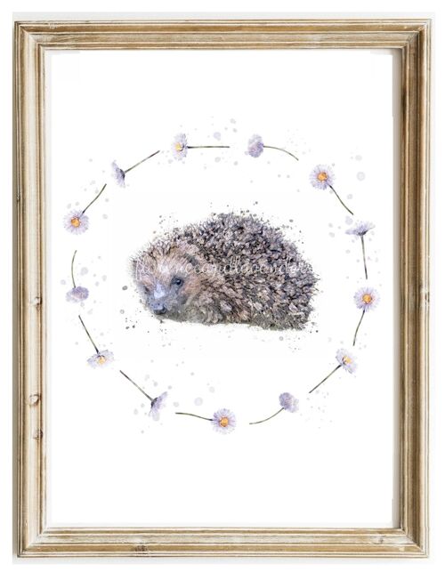 Daisy Chain Hedgehog Print