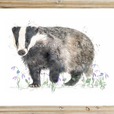 Badger in bluebells print