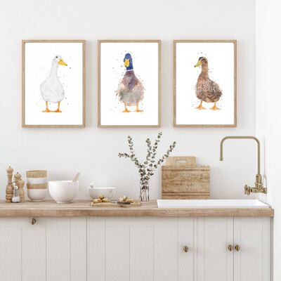 Trio of Duck Prints