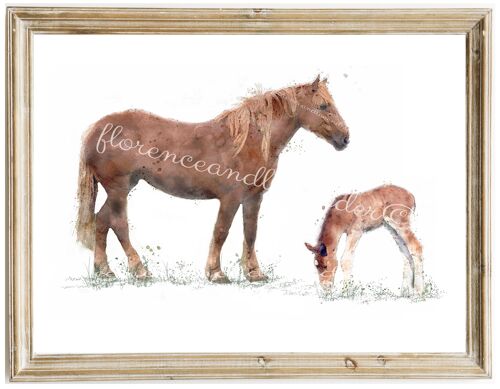 Suffolk Punch Print