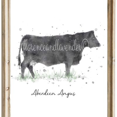Aberdeen Angus-Kuh-Druck