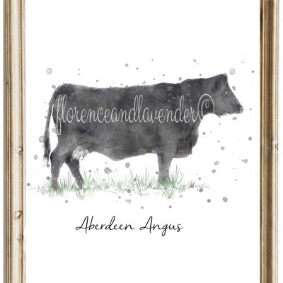 Estampado de vaca Aberdeen Angus