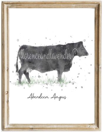 Imprimé vache Aberdeen Angus 1